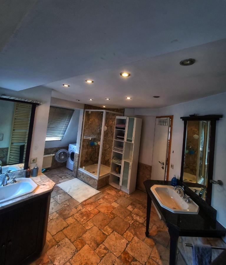 Langenzenn - Ikon Immoleasing Apartment ภายนอก รูปภาพ